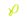 Fluorescent Yellow